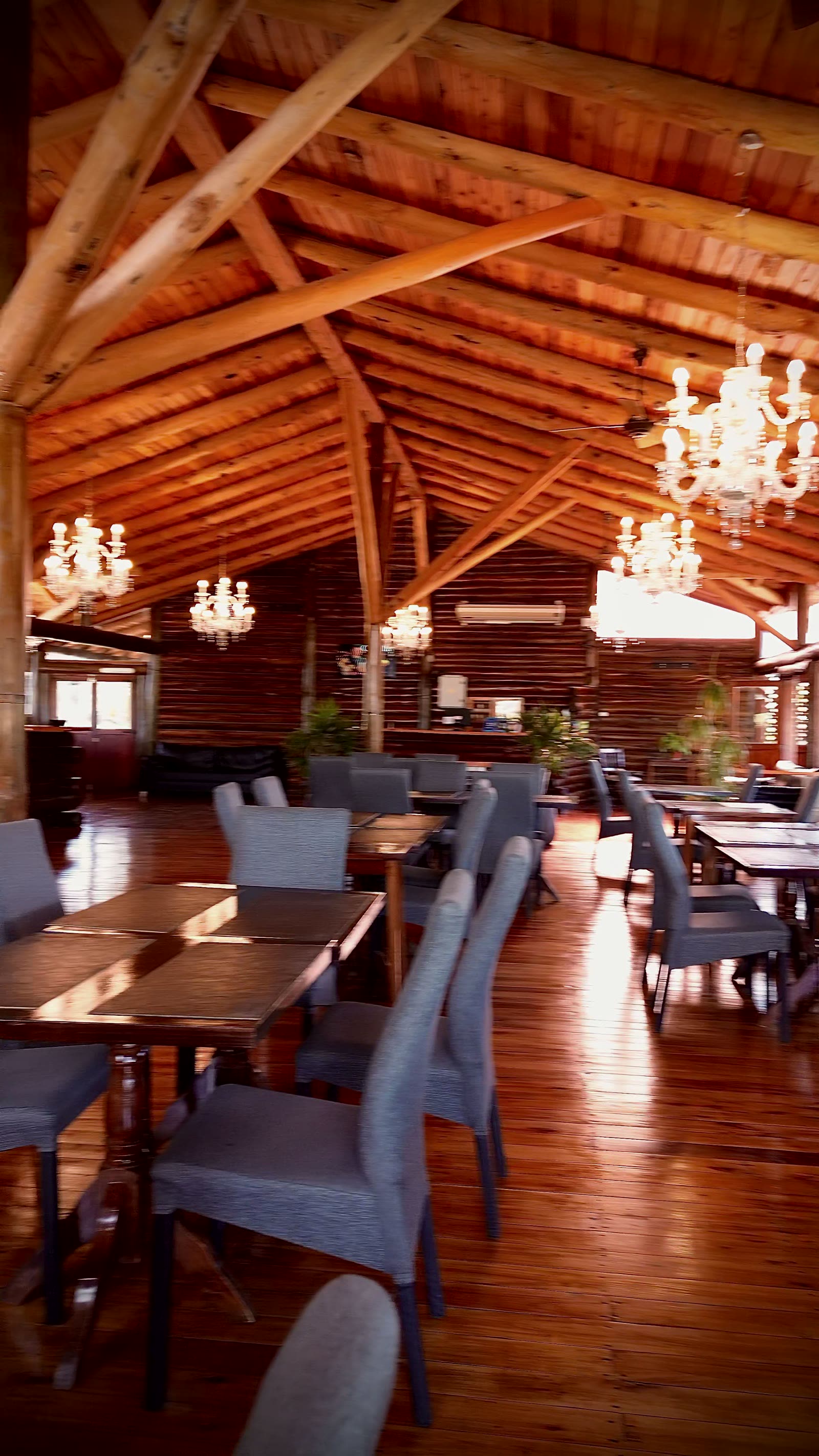 Las paredes de tronco y el piso de madera del salón