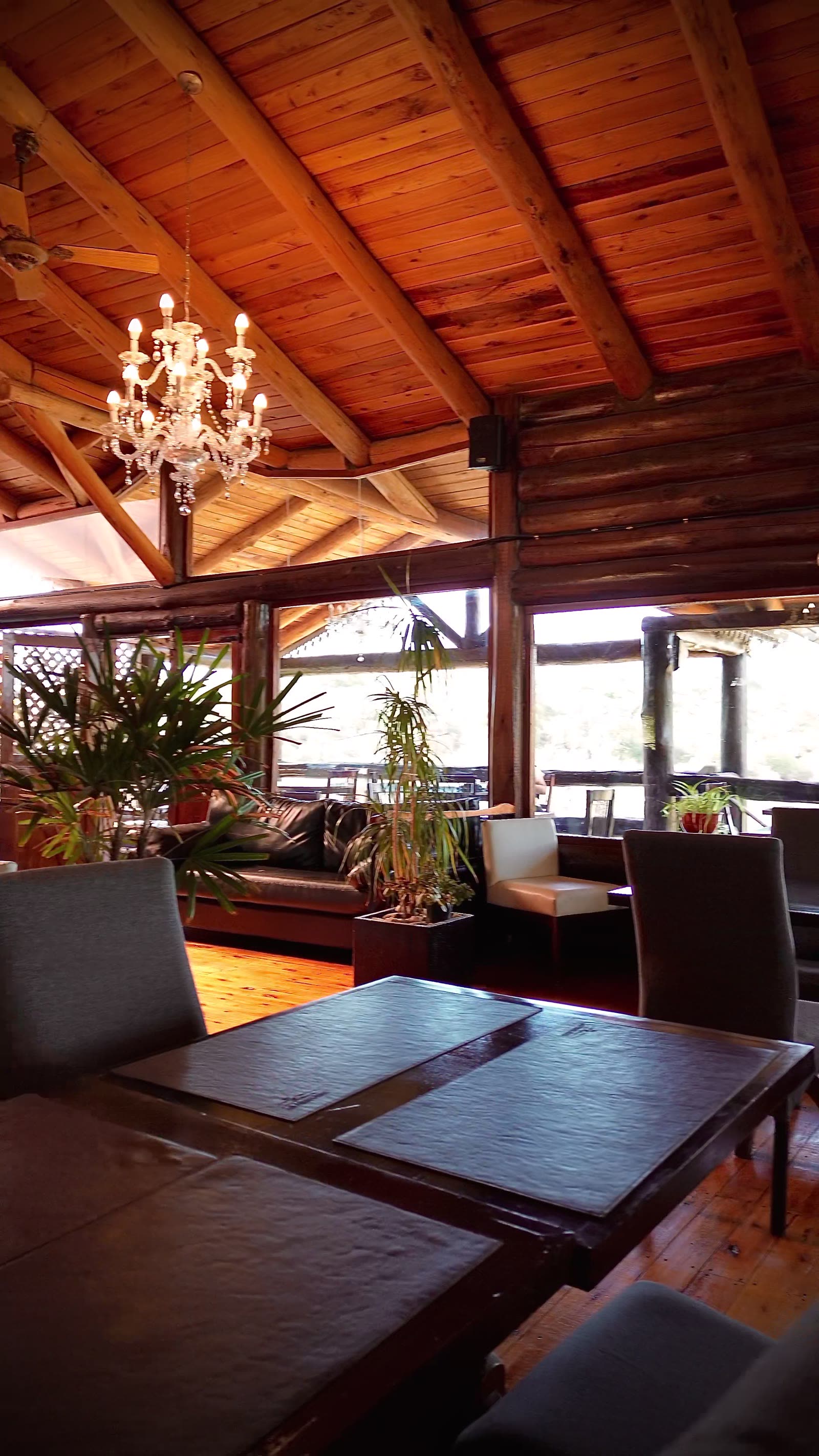Las plantas del salón contra el ventanal